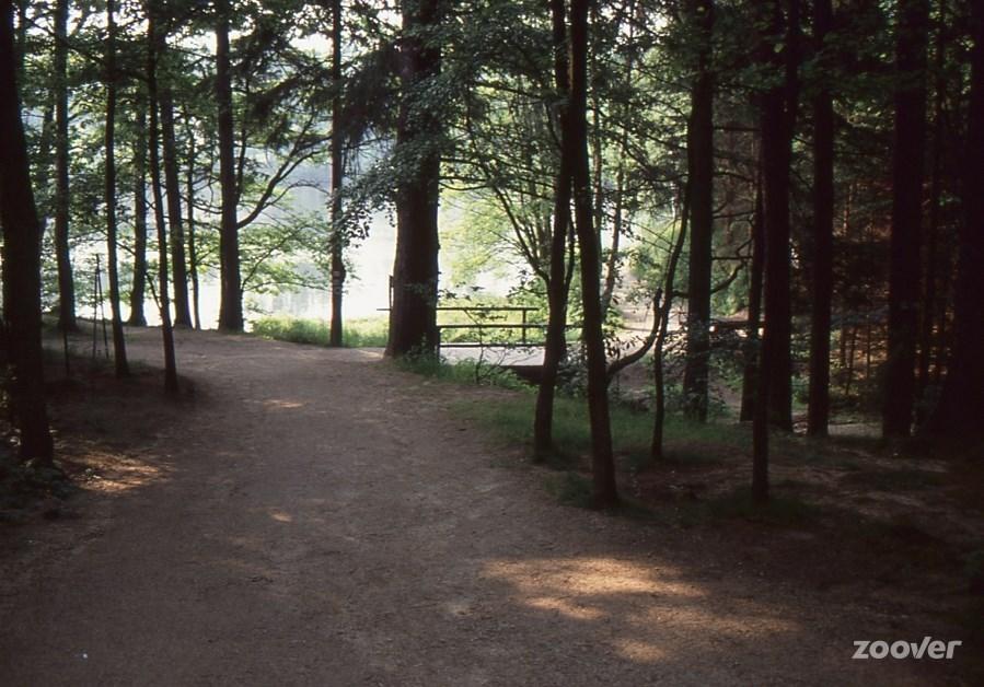 Hanko Martina Litschau Esterno foto